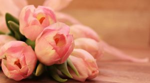 Tulips Flower Bouquet-MyFlowerTree