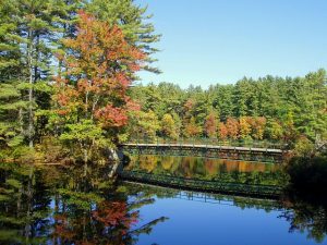 New Hampshire landscape.