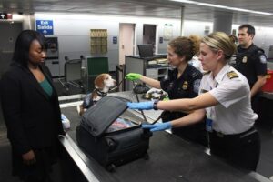 checking baggage at an airport according to customs regulations in Japan