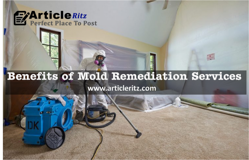 Mold Remediation Services