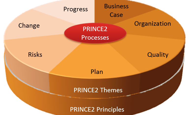 what-is-a-prince2-project-manager-article-ritz