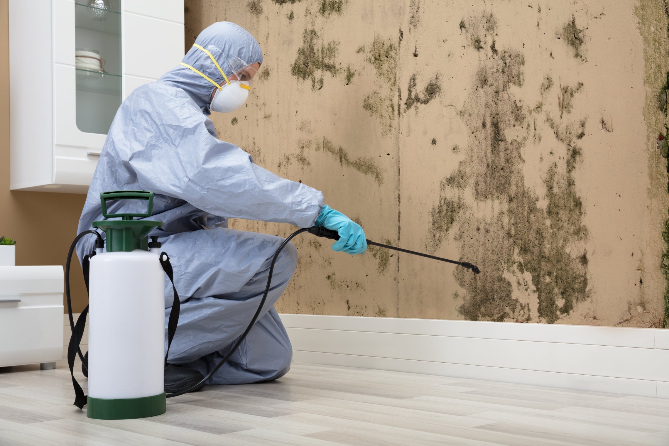 odor removal by a professional