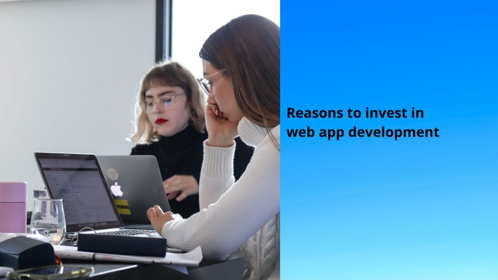 Reasons to invest in web app development