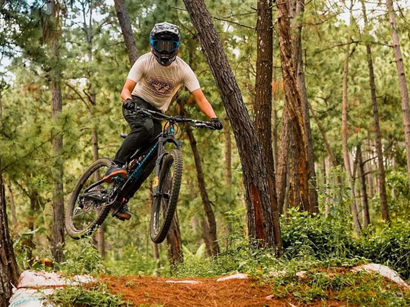 Enduro workout online